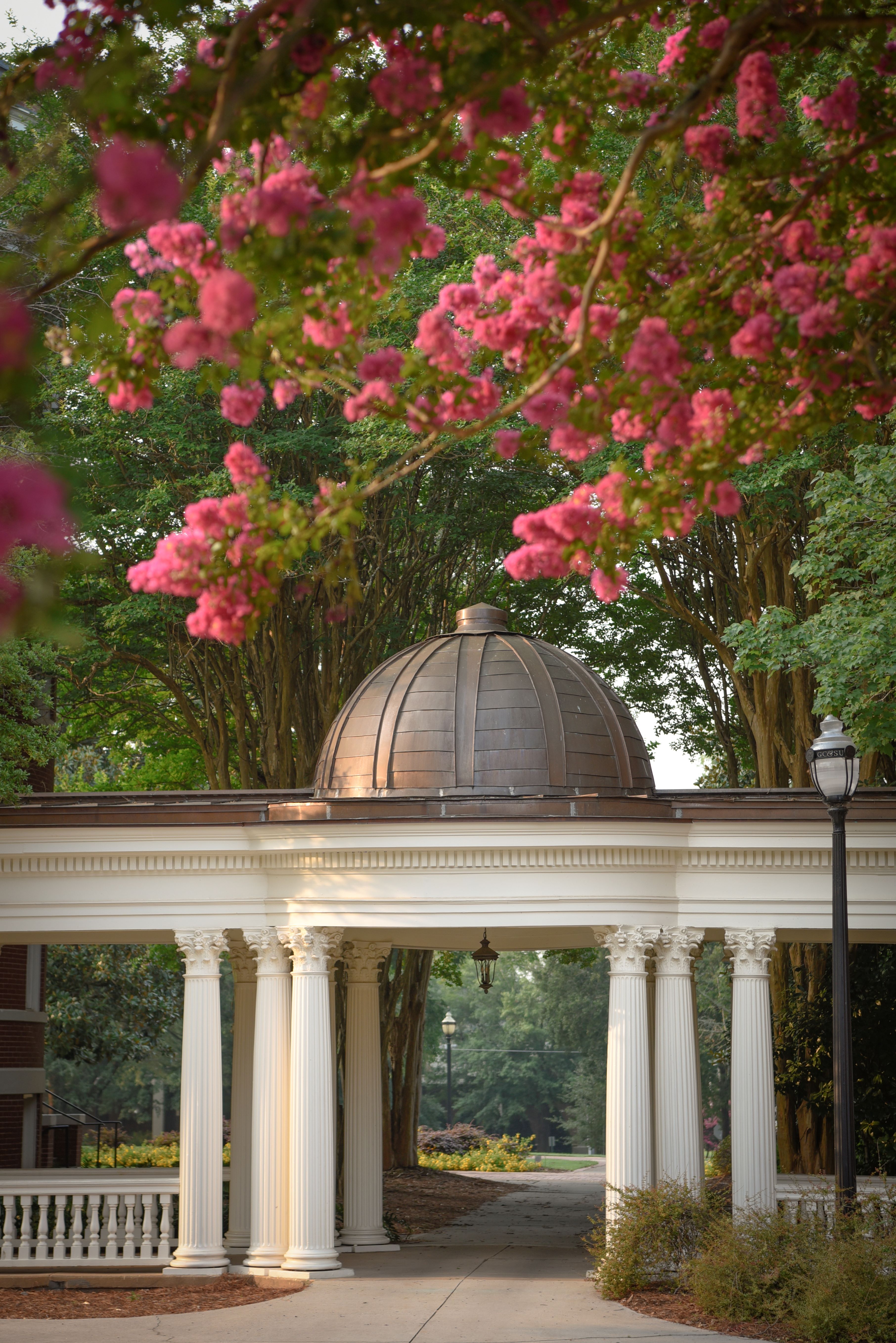 GCSU Pergola at Springtime